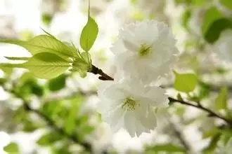 大腦地圖常熟港澳城中心