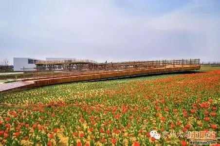 大腦地圖常熟港澳城中心 大腦地圖常熟港澳城中心