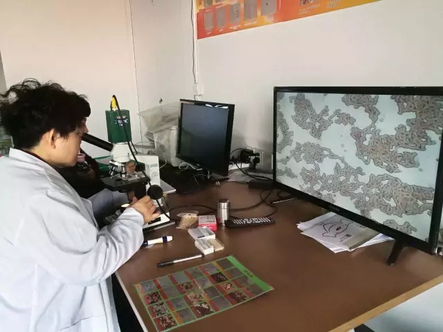 大腦地圖常熟港澳城中心 大腦地圖常熟港澳城中心