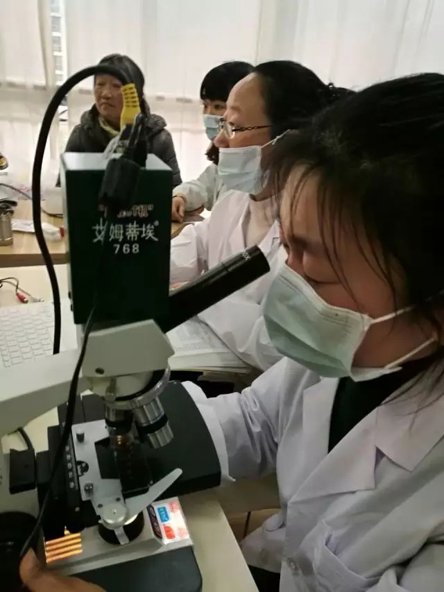 大腦地圖常熟港澳城中心