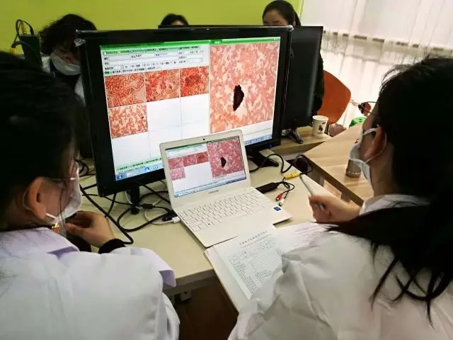 大腦地圖常熟港澳城中心 大腦地圖常熟港澳城中心