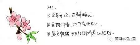 大腦地圖常熟港澳城中心 大腦地圖常熟港澳城中心