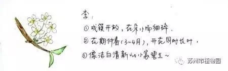大腦地圖常熟港澳城中心