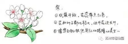大腦地圖常熟港澳城中心