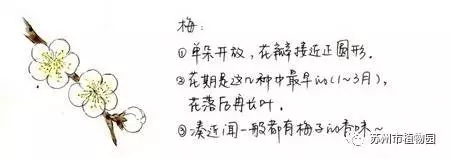 大腦地圖常熟港澳城中心
