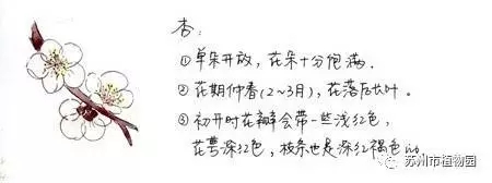 大腦地圖常熟港澳城中心
