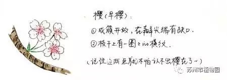 大腦地圖常熟港澳城中心