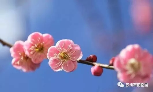 大腦地圖常熟港澳城中心 大腦地圖常熟港澳城中心