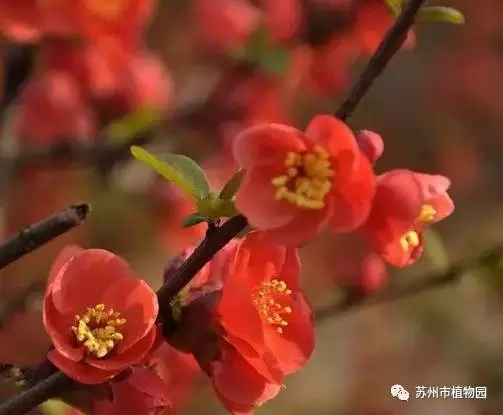 大腦地圖常熟港澳城中心 大腦地圖常熟港澳城中心