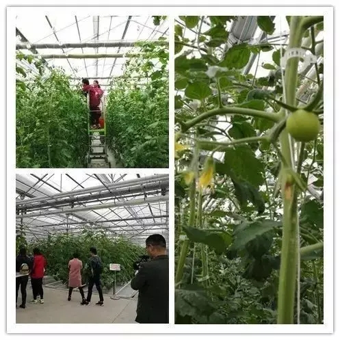 大腦地圖常熟港澳城中心
