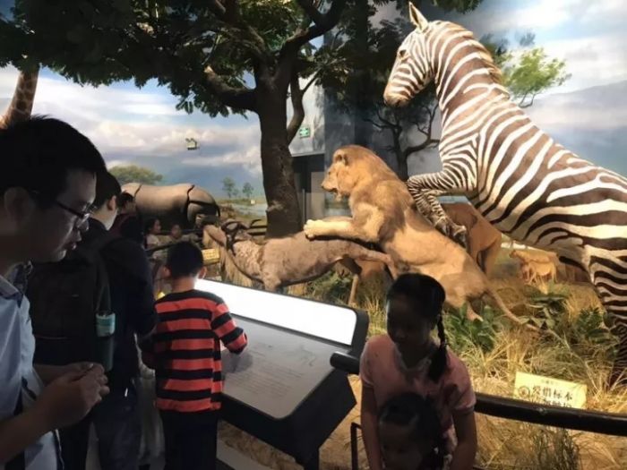 大腦地圖常熟港澳城中心