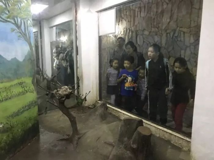 大腦地圖常熟港澳城中心