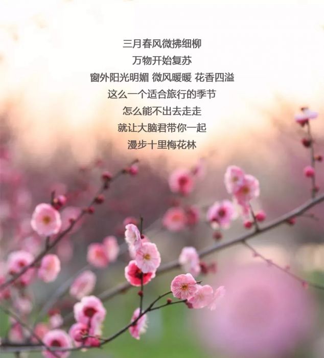 大腦地圖常熟港澳城中心