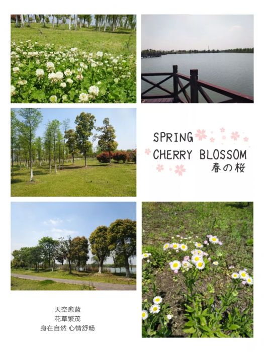 大腦地圖常熟港澳城中心 大腦地圖常熟港澳城中心